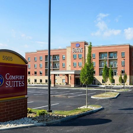 Comfort Suites Florence - Cincinnati South Екстер'єр фото